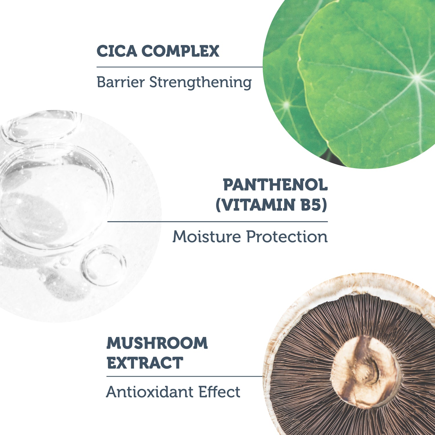Soothing & Smoothing Cica Serum / Anti-Redness and Barrier Repair Cica Serum for Sensitive Skin 30 ml